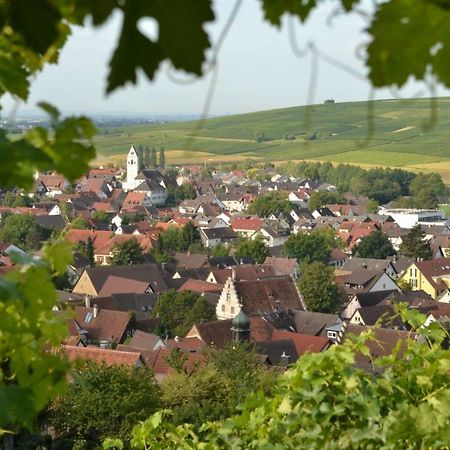 Ferienwohnung Schneckental Pfaffenweiler Εξωτερικό φωτογραφία