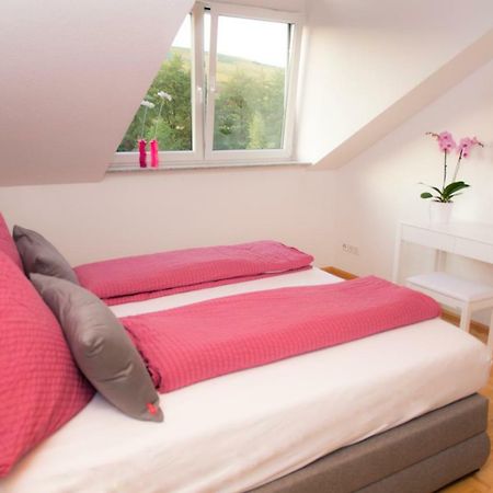 Ferienwohnung Schneckental Pfaffenweiler Εξωτερικό φωτογραφία