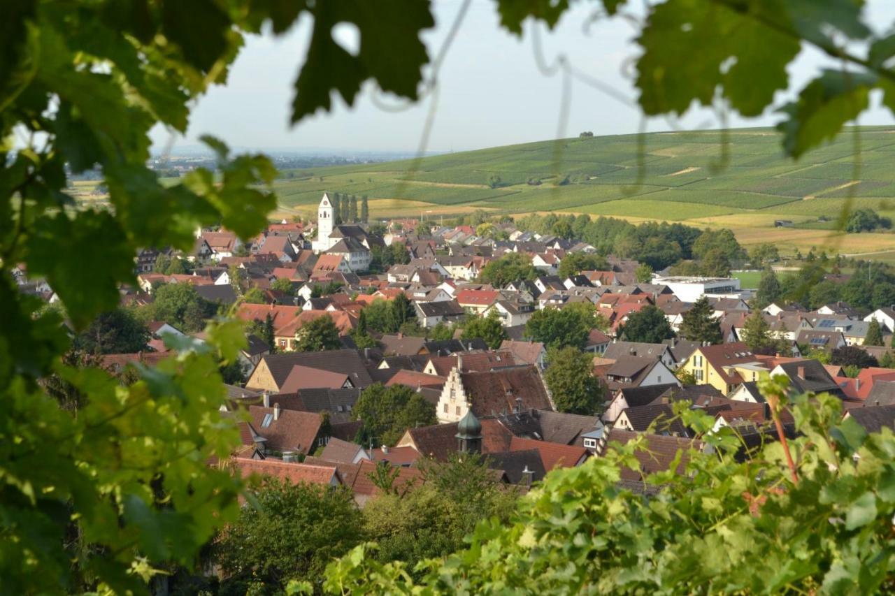 Ferienwohnung Schneckental Pfaffenweiler Εξωτερικό φωτογραφία